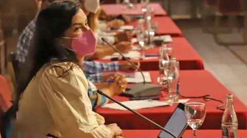 Nieves Arrocha en un pleno celebrado en La Villa.