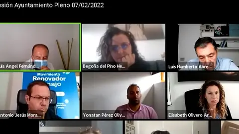 Imagen del pleno telemático celebrado este lunes en Tinajo.