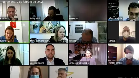 Imagen del pleno telemático celebrado este miércoles en el Cabildo. 