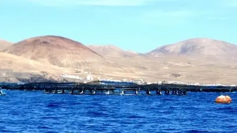Imagen de las jaulas marinas que hay en Lanzarote