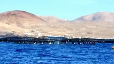 Imagen de las jaulas marinas que estaban instaladas en Playa Quemada