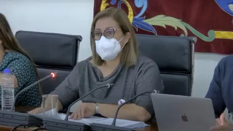Imagen del pleno celebrado este lunes por la mañana en Arrecife. 