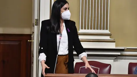 Vidina Espino, portavoz del Grupo Mixto.