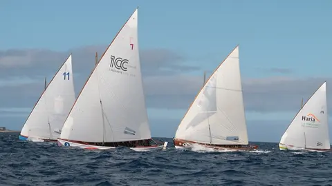 Barquillos de Vela Latina durante una competición.