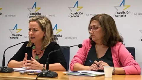 Ana Oramas, portavoz de Coalición Canaria-PNC en el Congreso de los Diputados.