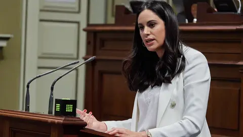 Vidina Espino, portavoz del Grupo Mixto en el Parlamento de Canarias.