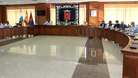 Ariagona González junto con los concejales y técnicos de los siete ayuntamientos en la  Mesa Insular de Energia.