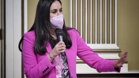 Vidina Espino, portavoz del Grupo Mixto.