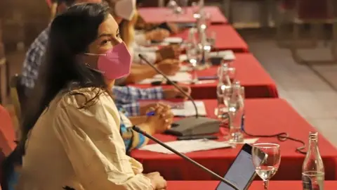 Nieves Arrocha en una imagen de archivo en un pleno municipal.