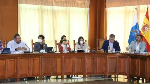 C.C.- Pleno Ordinario Abril (16)