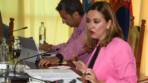 María Dolores Corujo durante el último pleno del Cabildo