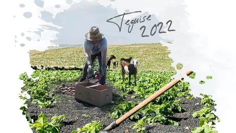 Imagen del cartel de la feria.