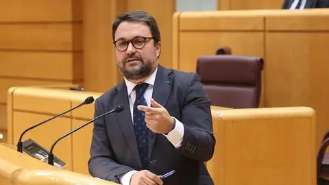 Asier Antona, senador autonómico por Canarias y portavoz adjunto del Grupo Parlamentario Popular.