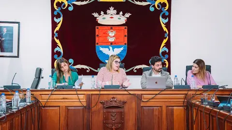Pleno del 29 de abril en el Ayuntamiento de Arrecife.