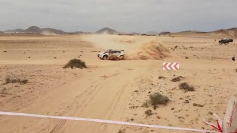 Rally Isla de los Volcanes.