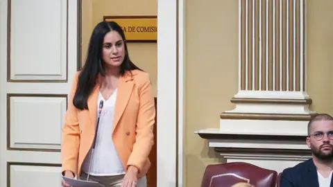 Vidina Espino, portavoz del Grupo Mixto en el Parlamento de Canarias.