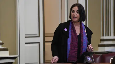 María del Río en el Parlamento de Canarias.