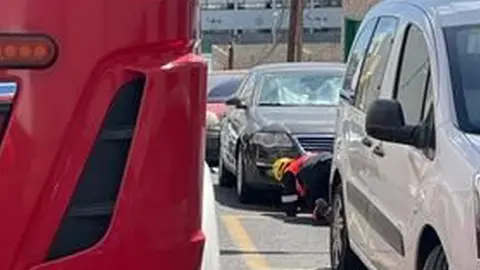 Momento en el que actuó uno de los bomberos para impedir que muriera el animal.