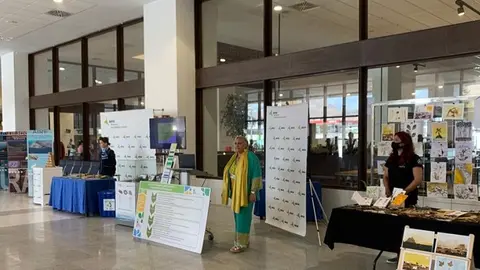 Imagen de los puestos ubicados en el aeropuerto con motivo del  Día Mundial del Medio Ambiente.