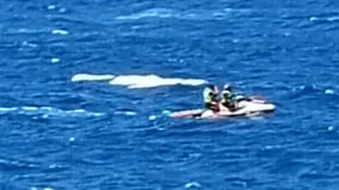 Imagen del cetáceo y los bomberos a su alrededor