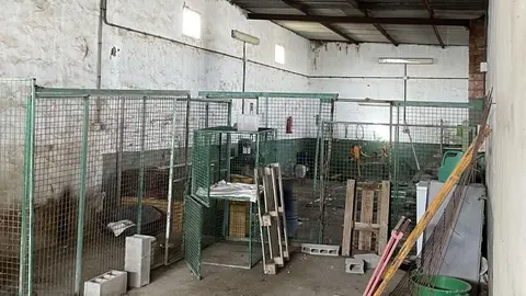 Imagen actual de la perrera municipal de Teguise