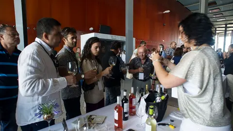 Imagen de una cata de vinos realizada por Vinófilos.