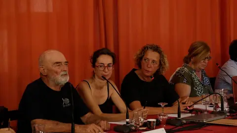 Elena Solís durante el encuentro del Consejo