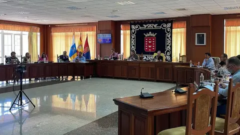 Imagen del pleno celebrado este miércoles en el Cabildo.