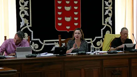 María Dolores Corujo durante la realización del pleno en el Cabildo.