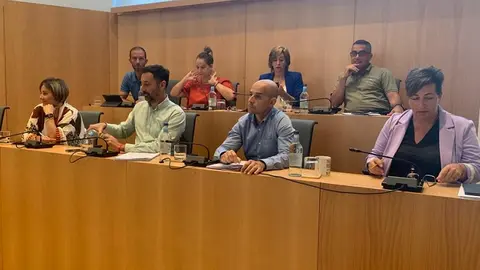 Imagen del gupo de gobierno de Tías durante el desarrollo de un pleno.