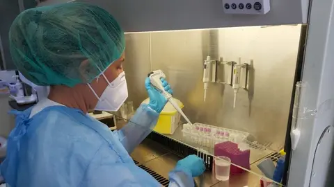 Imagen de una persona investigando posibles virus