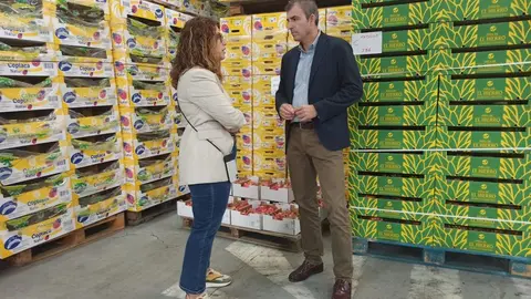 Manuel Domínguez, presidente del Partido Popular de Canarias.