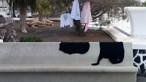 Imagen de la ropa que ha aparecido tendida en pleno literal de Arrecife.