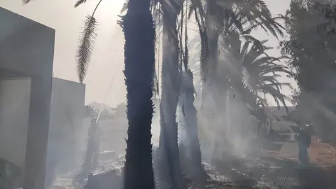 Imagen de los bomberos sofocando el fuego en las palmeras.