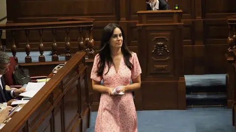 Vidina Espino, portavoz del Grupo Mixto.