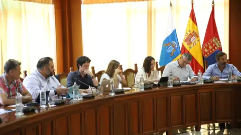 Imagen del grupo nacionalista durante el pleno en el Cabildo.