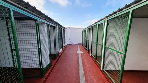 Imagen del Centro de Acogida de Animales de Teguise.