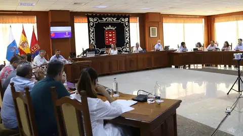 Imagen del pleno del Cabildo.