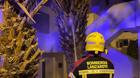 Imagen de los bomberos apagando el incendio en la palmera.