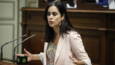 Vidina Espino, portavoz del Grupo Mixto en el Parlamento de Canarias.