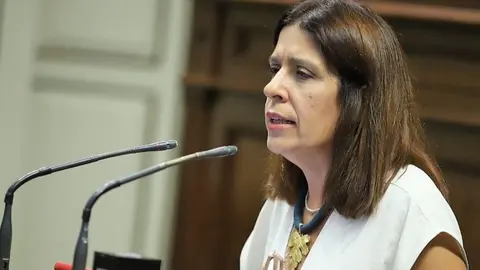 Carmen Hernández, diputada de Nueva Canarias.