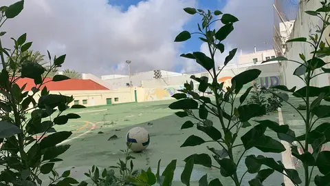 Imagen de las canchas.