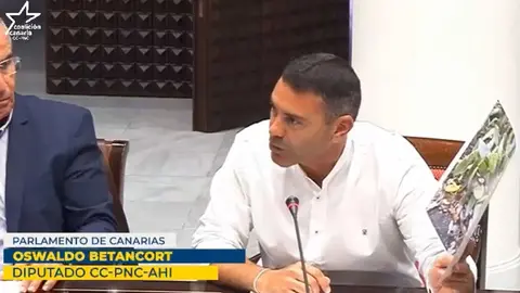 Oswaldo Betancort durante la comisión celebrada este miércoles en Tenerife.