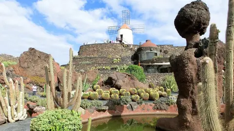 Imagen del Jardín de Cáctus.