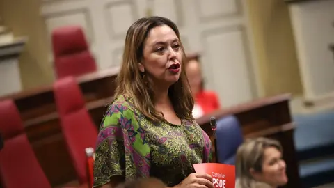 María Dolores Corujo en el Parlamento autonómico este martes.