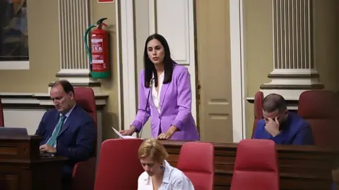 Vidina Espino, portavoz del Grupo Mixto.