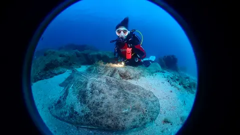 Imagen de la jornada de submarinismo realizada en Yaiza.