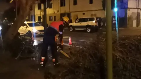 Momento en el que uno de los bomberos cortaba la rama
