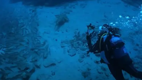 Imagen extraida del video de la primera Copa Inclusiva de Fotografía Subacuática.