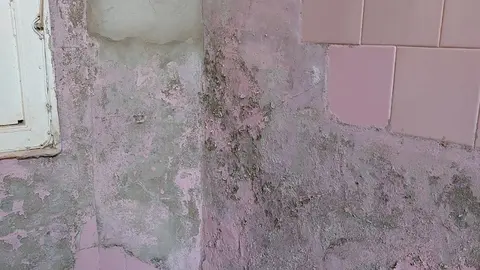 Imagen del deterioro de una vivienda en la Calle Brasil.